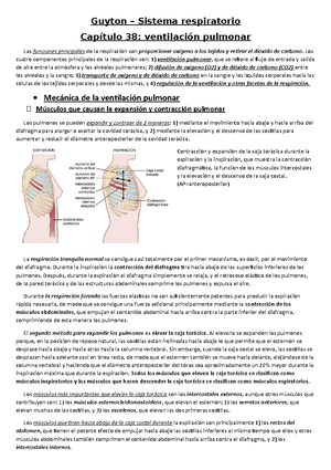 Resumen Relacion Vq Causas De Hipoxemia Insuficiencia Respiratoria Y ...