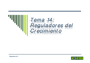 Clasificación según Arthur Cronquist 20230918 135450 0000 - Arthur ...