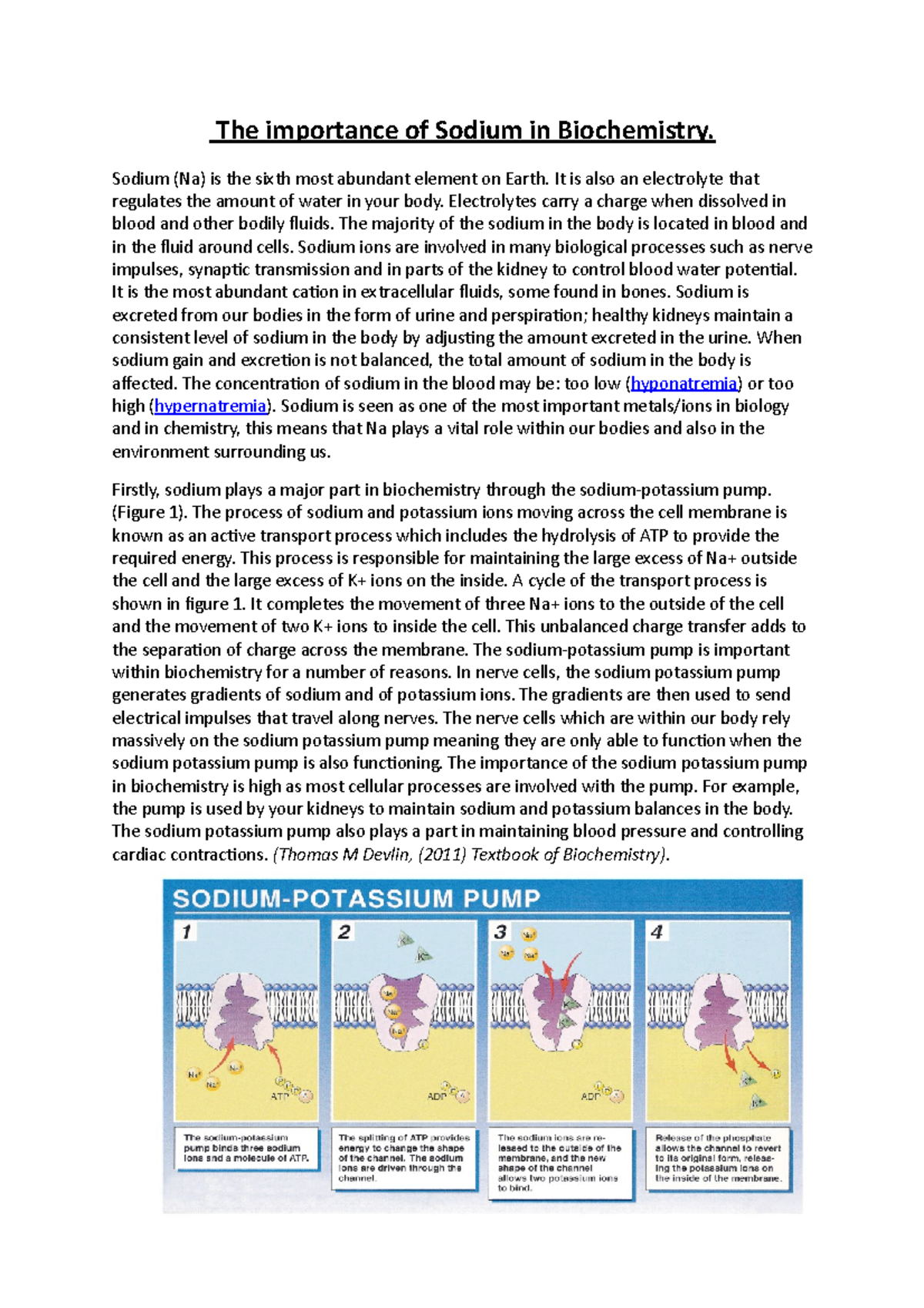 The importance of Sodium in Biochemistry - Sodium (Na) is the sixth ...