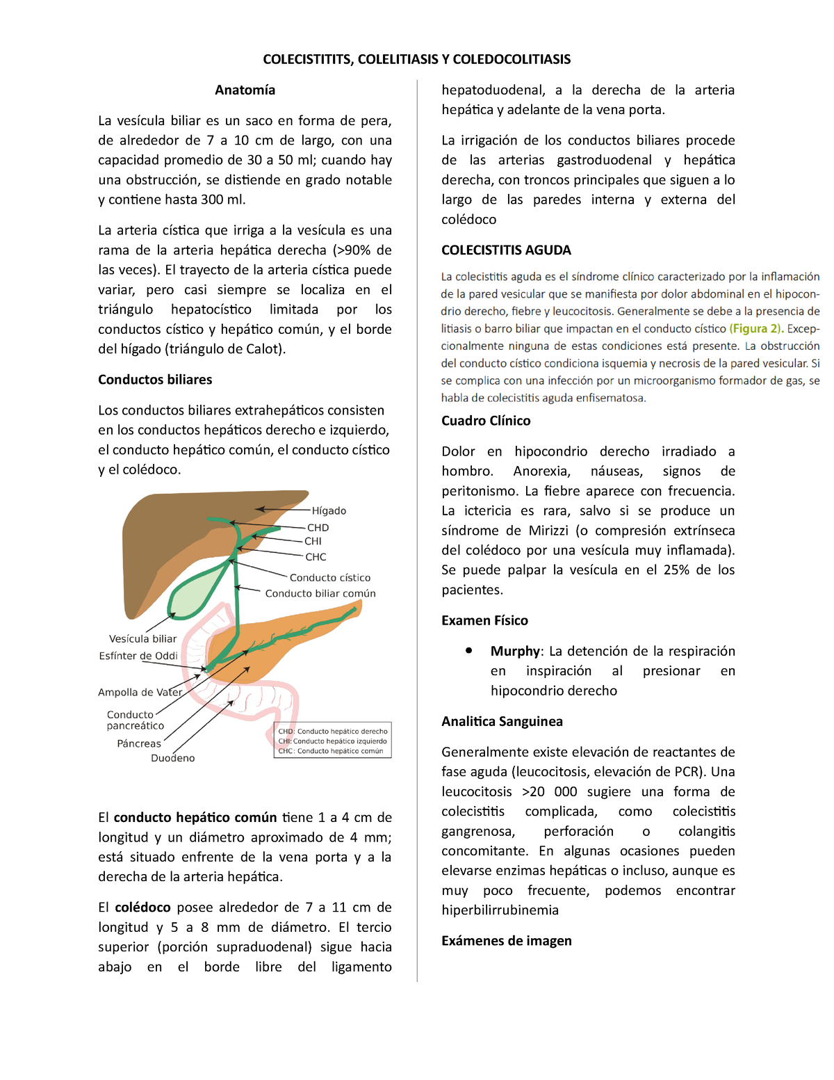 coledocolitiasis vs colelitiasis