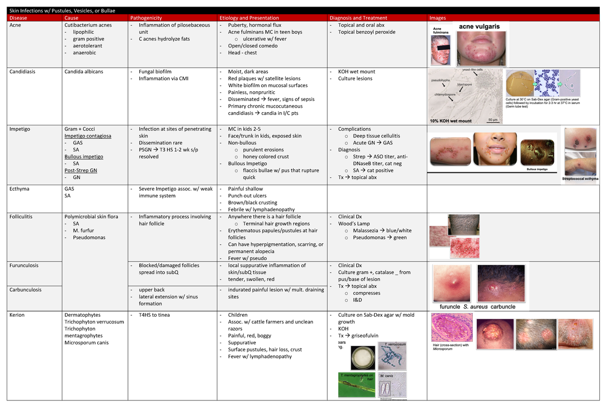 Pustules, Vesicles, Bullae - Skin Infections w/ Pustules, Vesicles, or ...