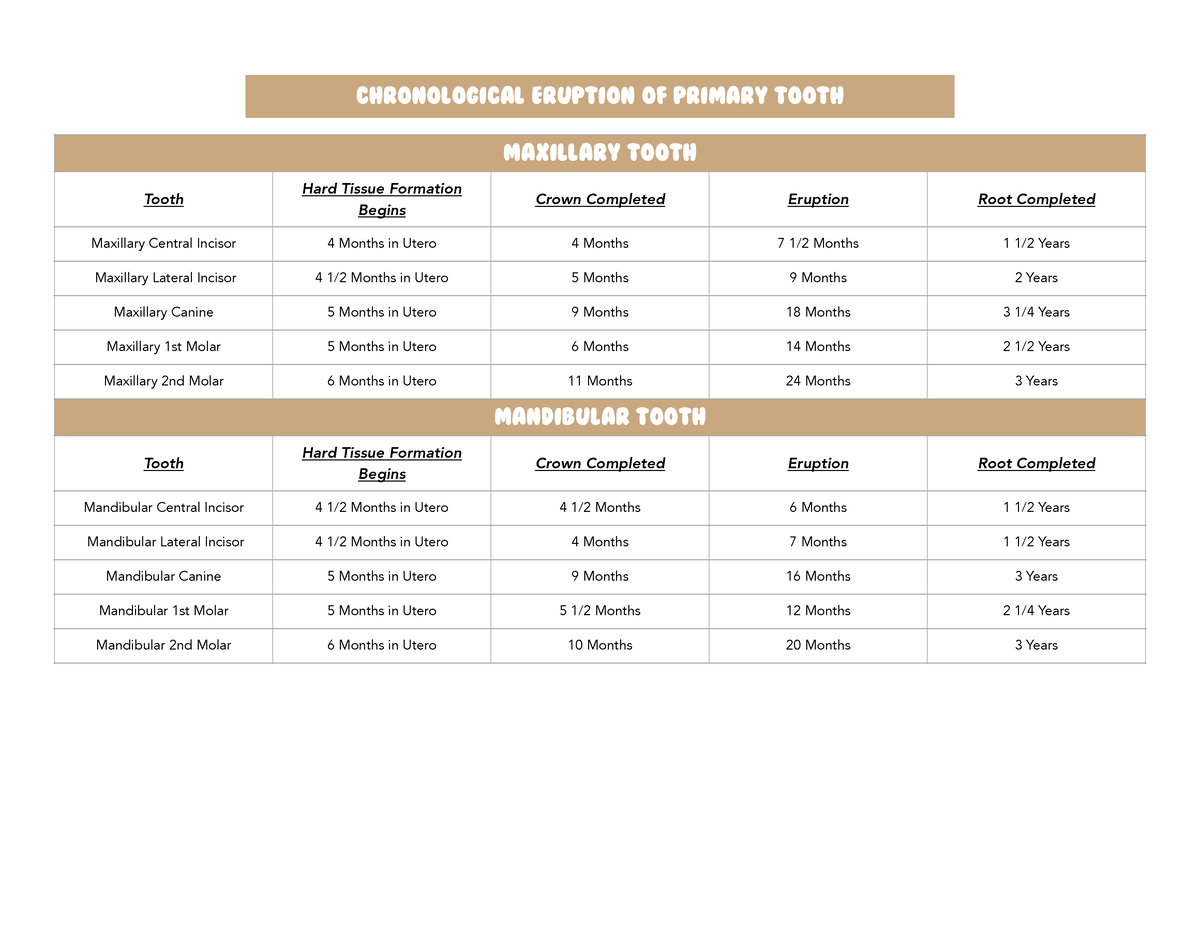 Pediatric Dentistry Chronological Eruption Of Tooth Chronological