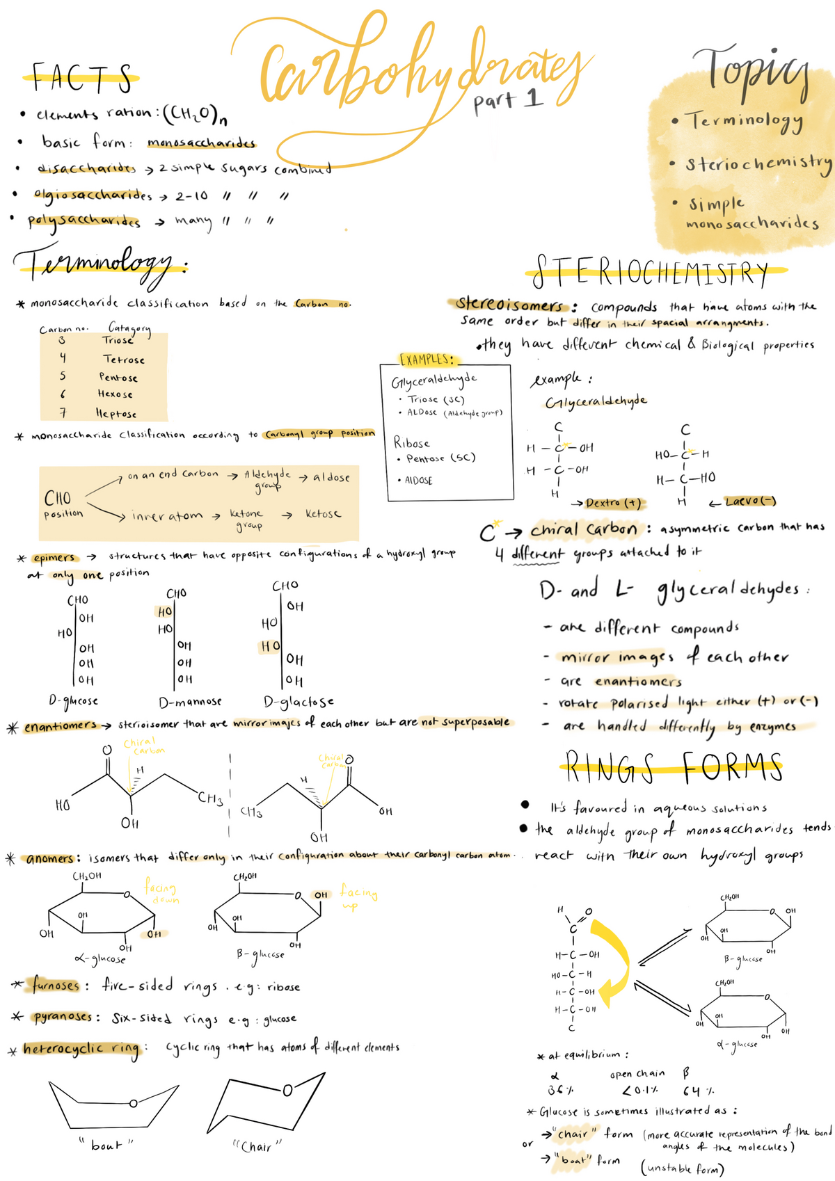 Carbohydrates D21BN2 Studocu   Thumb 1200 1698 