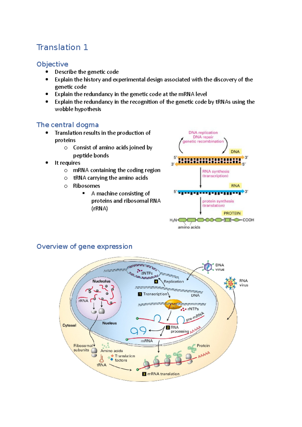 Translation 1 - Lecture notes 1 - Translation 1 Objective Describe the ...