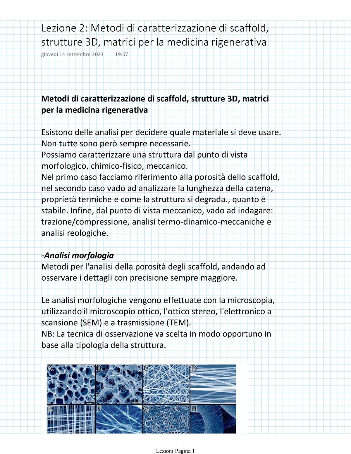 3. Schematizzazione di un microscopio elettronico a scansione (SEM).