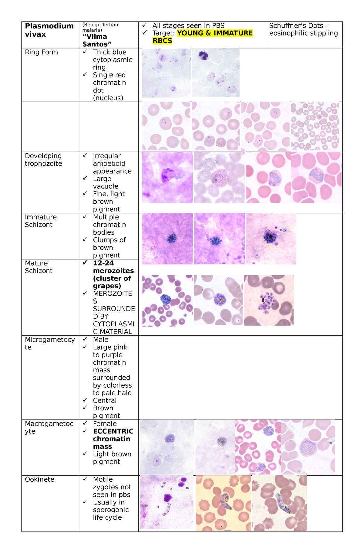 Plasmodium spp atlas - Plasmodium vivax (Benign Tertian malaria) “Vilma ...