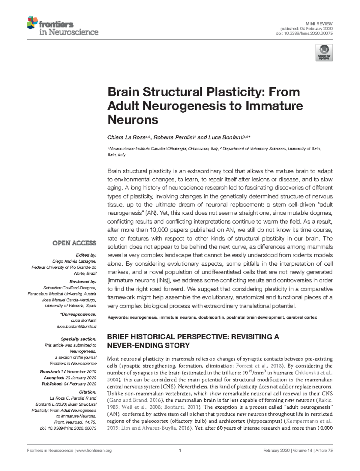 Brain Structural Plasticity. From Adult Neurogenesis to Immature ...