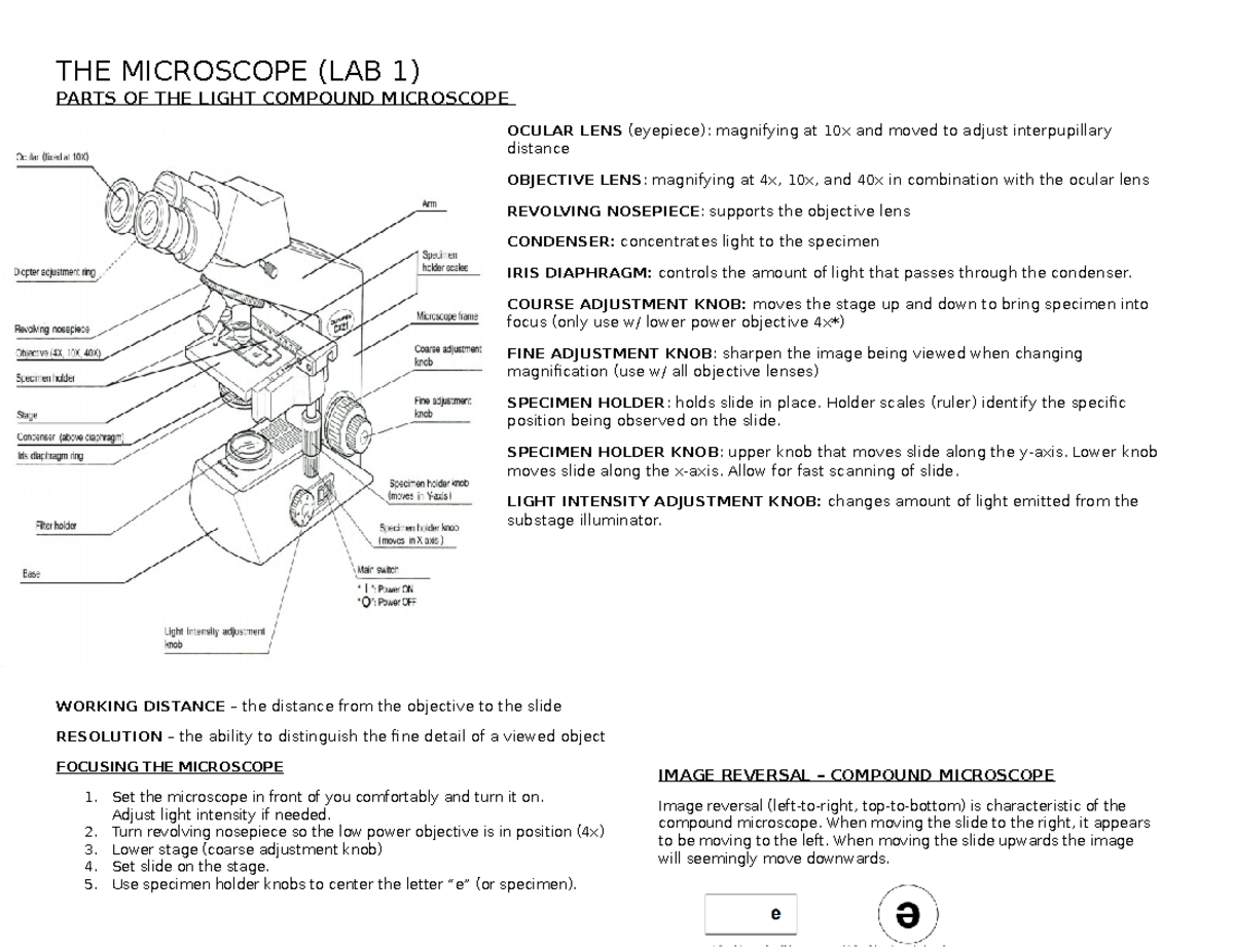 Biol-1115 The Microscope Lab Notes - THE MICROSCOPE (LAB 1) PARTS OF ...