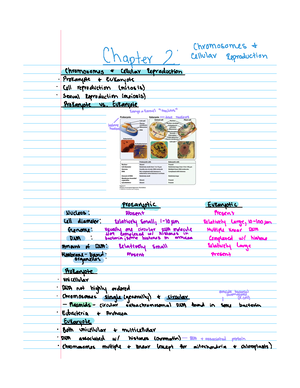 Chapter 3 Power Point Notes - Chapter 3 Basic Principles of Heredity ...