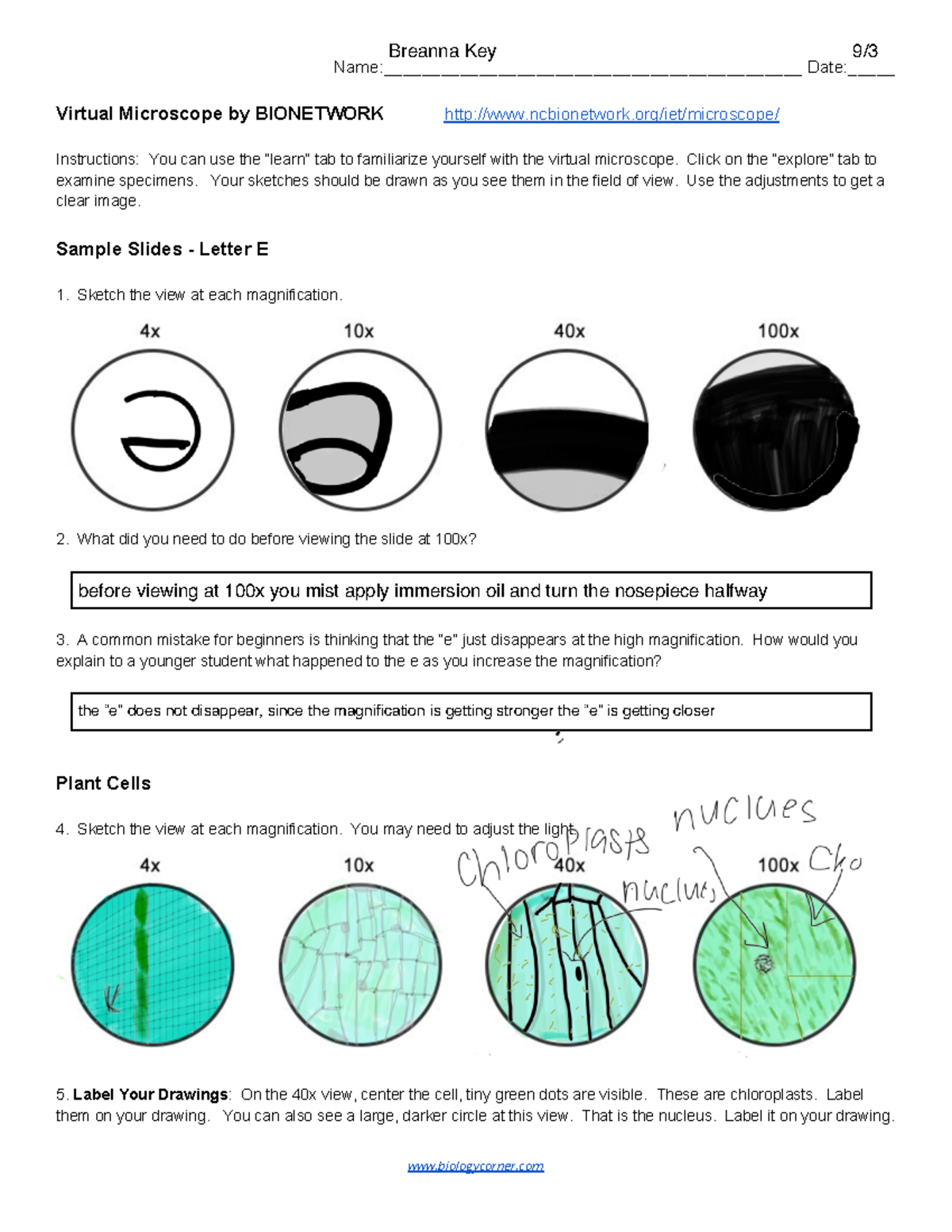 Virtual microscope lab - Name ...