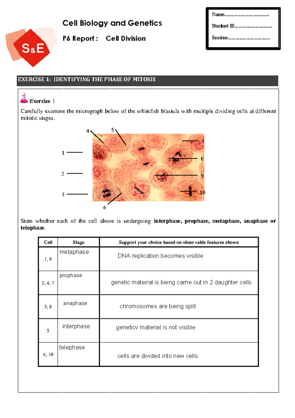 Practical 6 - Laboratory Report - Cell division edited - Name