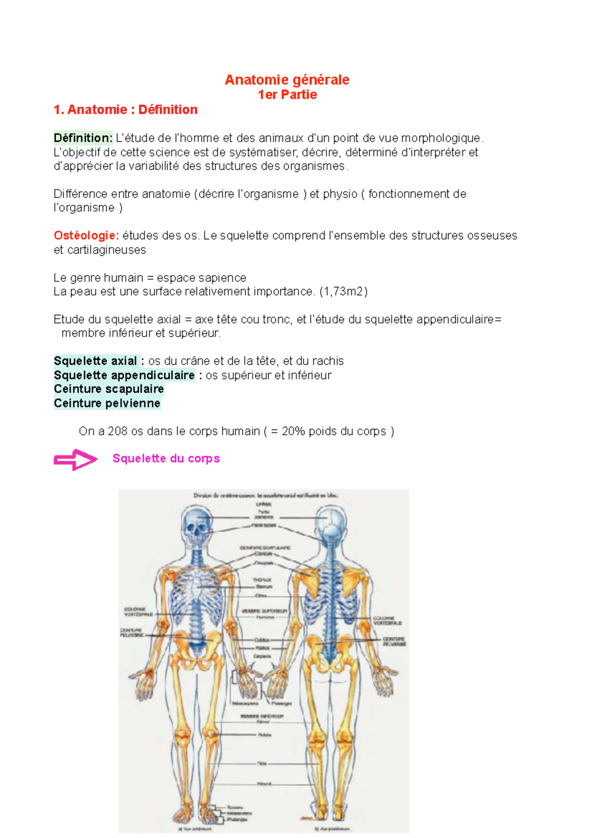 Anatomie Générale - Notes De Cours 1 - Anatomie Générale 1er Partie 1 ...