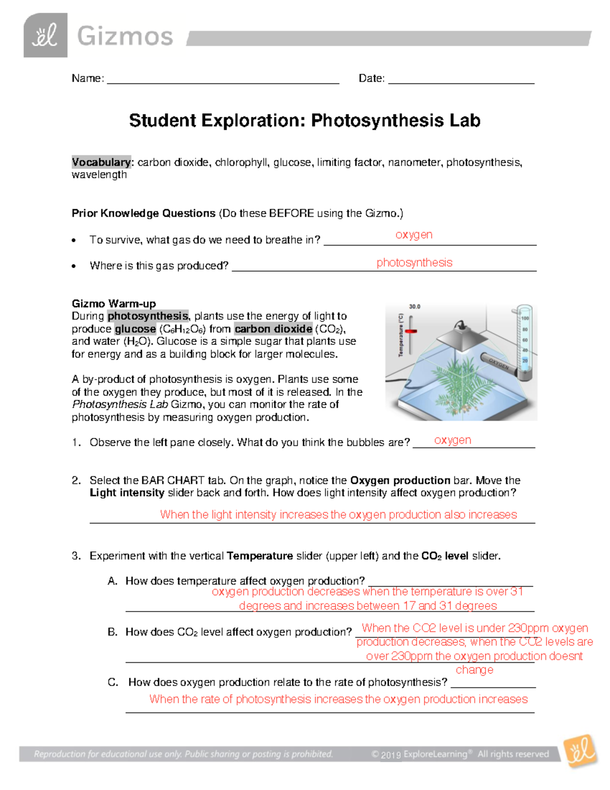 Photosynthesis Lab Activity Virtual Gizmo Answer Name