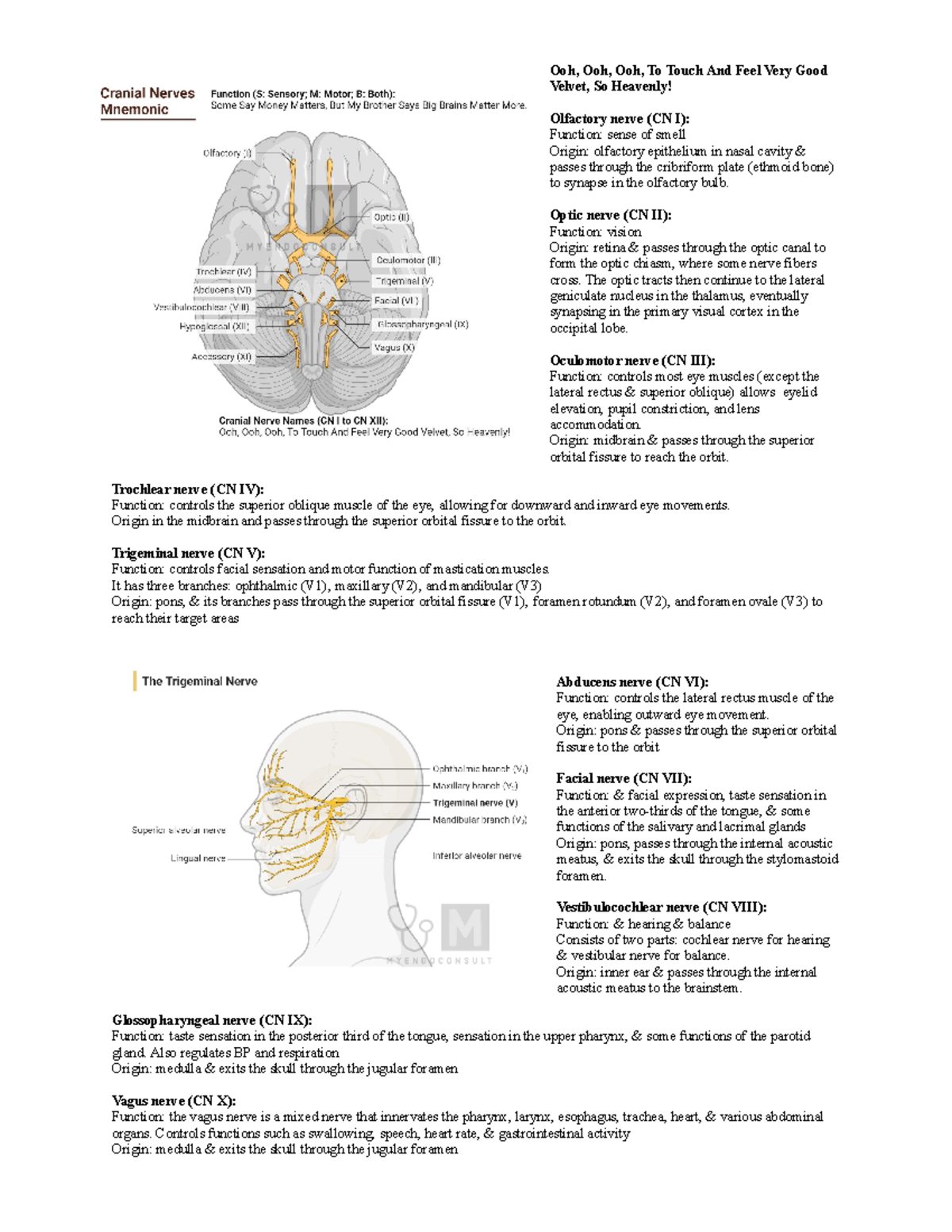 Cranial nerves Ooh, Ooh, Ooh, To Touch And Feel Very Good Velvet, So
