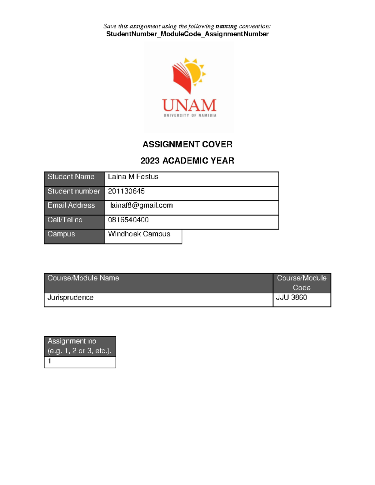 jurisprudence law assignment