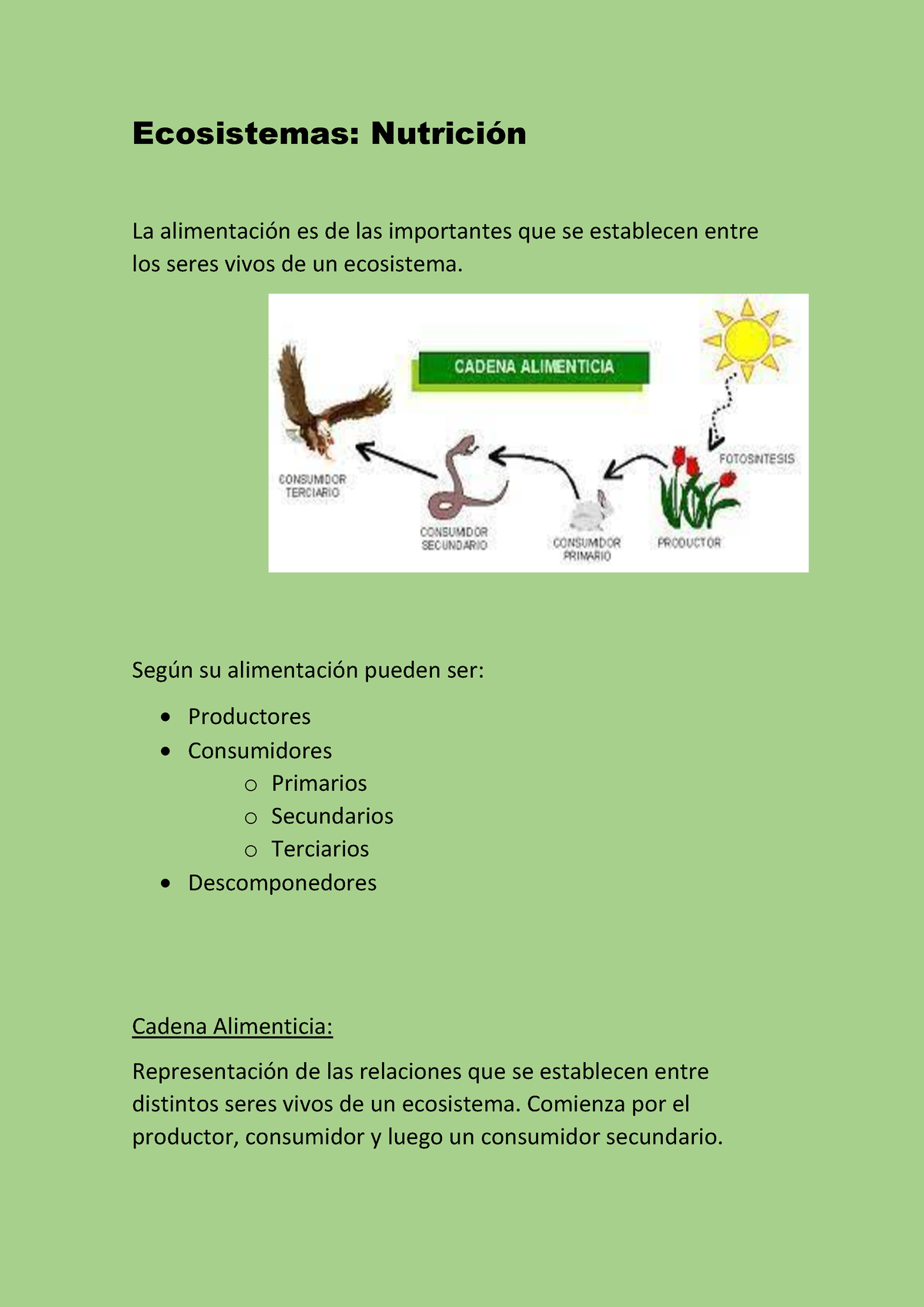 Ecosistemas Nutricion Autotrofa Y Heterotrofa Ecosistemas Nutrición La Alimentación Es De Las 4442