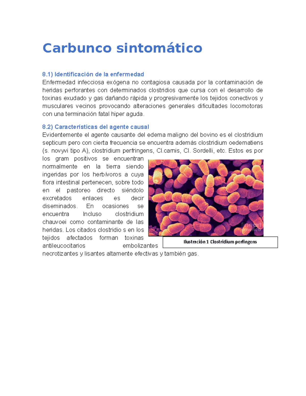 Síntomas Del Carbunco _ Carbunco Causas, síntomas y tratamiento – DKBVX