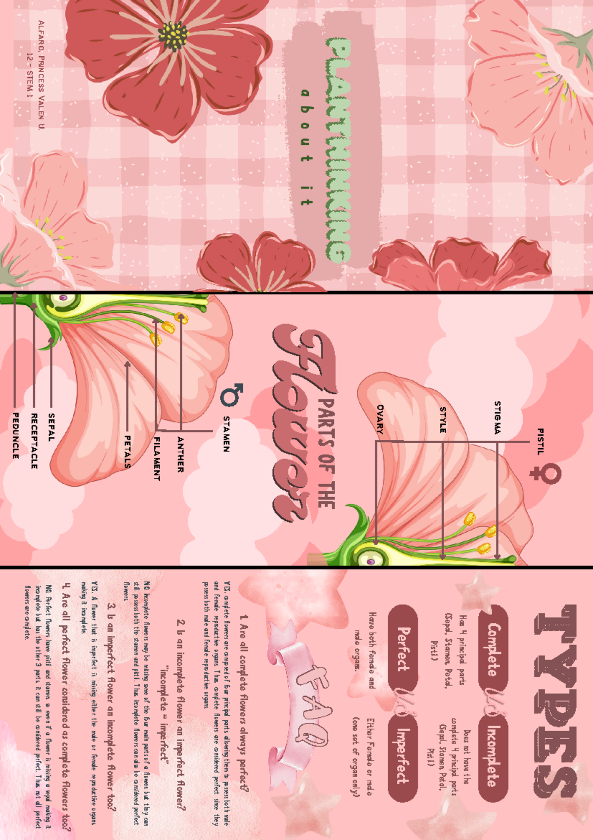 Plantite - all about plants - Complete Incomplete Perfect Imperfect ...