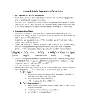 Chapter 18- Control of Gene Expression in Bacteria - Mechanisms of ...