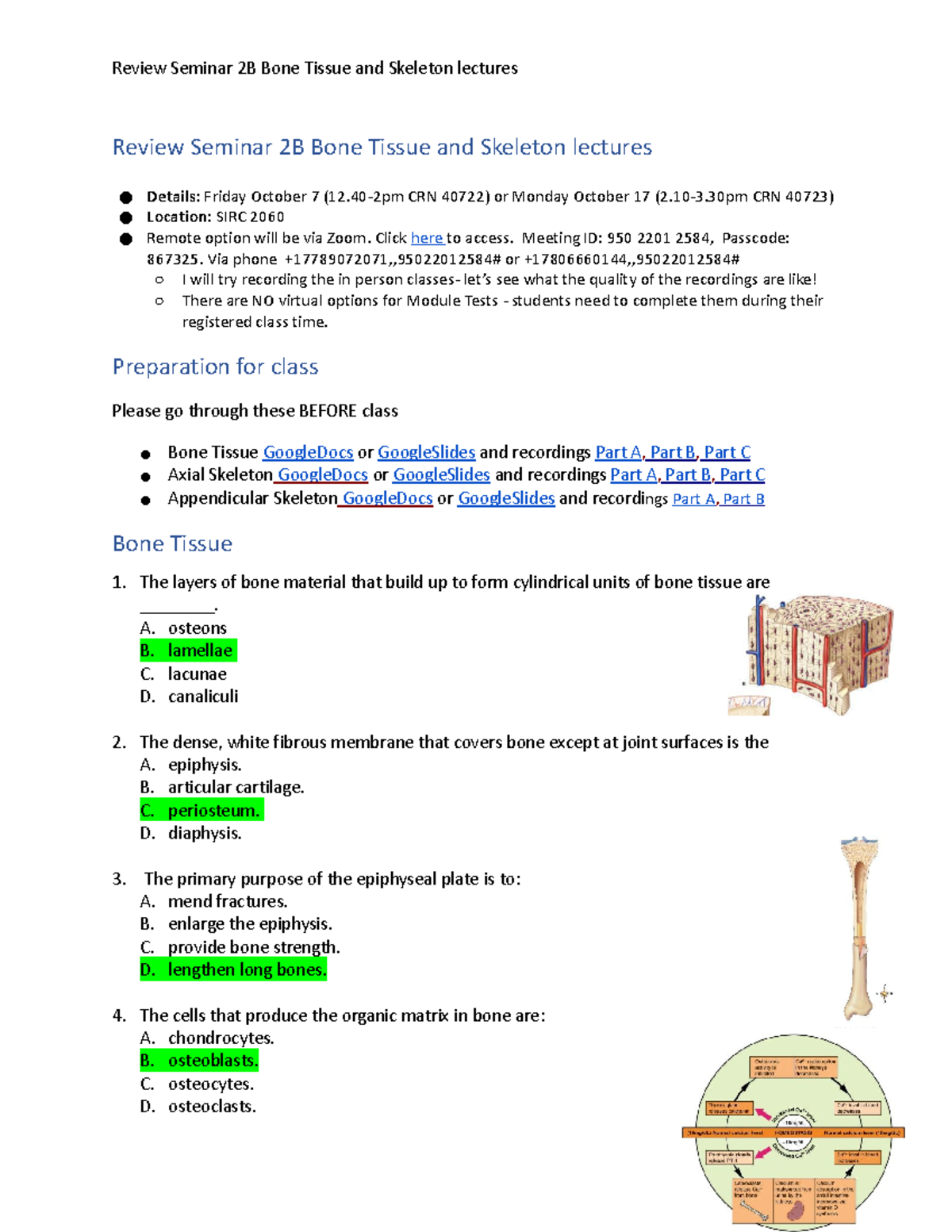 2B Review of Bone Tissue and Skeleton lectures - Review Seminar 2B Bone ...