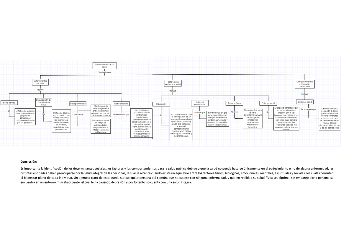 A#2 MATH - Mapa conceptual de salud publica, determinantes de la salud ...