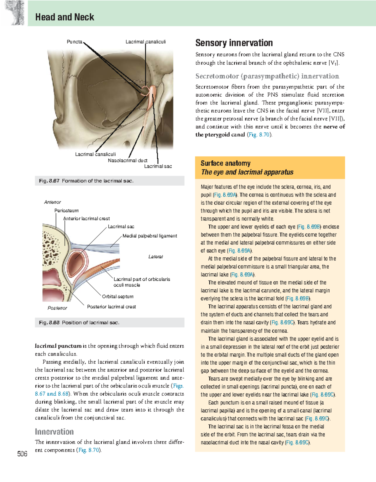 Eye - Human Anatomy & Physiology (PCBI102) - Edit - 506 Head and Neck ...