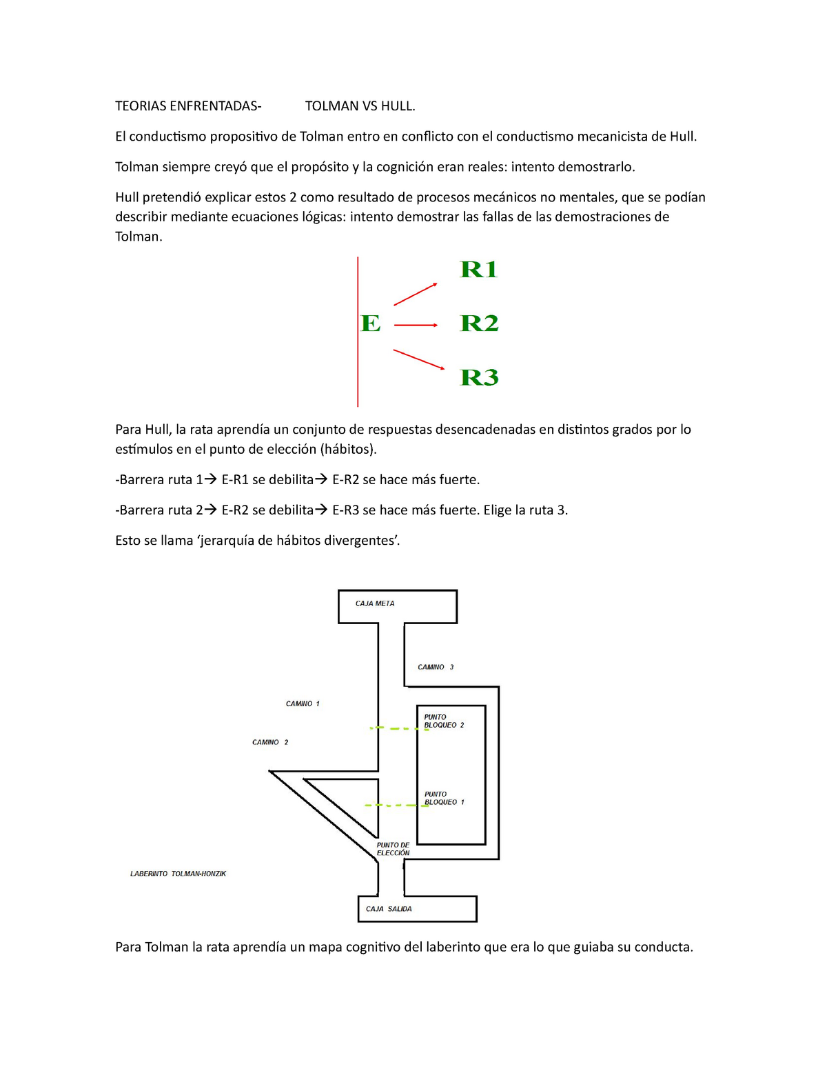 Tolman Vs Hull Teorias Enfrentadas Tolman Vs Hull El Conductismo Propositivo De Tolman Entro 8464