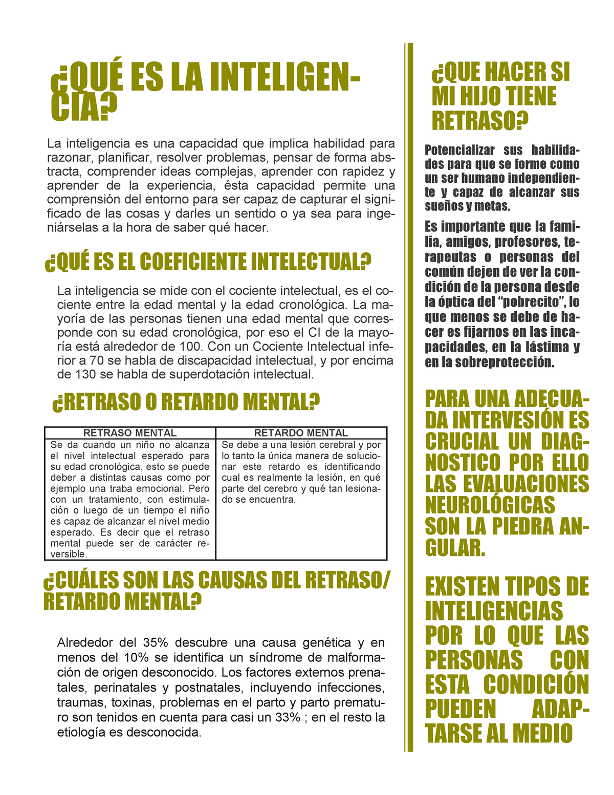 Folleto DE RM2 Material explicativo QUÉ ES LA INTELIGEN CIA QUE