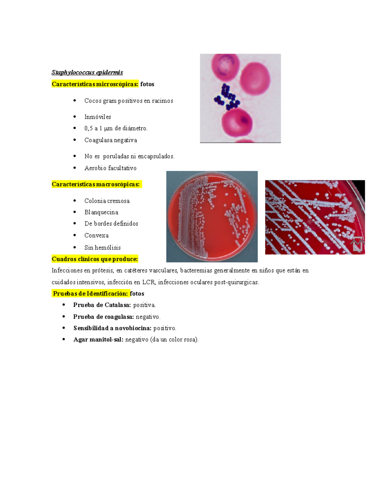 S Epidermis Lecture Notes 1 Staphylococcus Epidermis