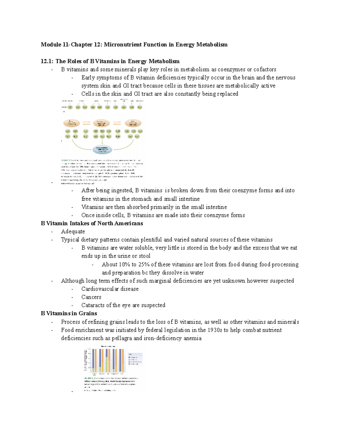 Module 11-Chapter 12 Micronutrient Function in Energy Metabolism - Studocu