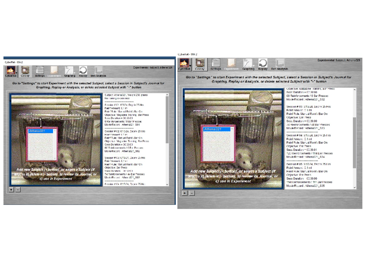 Participacion en clase 15 cyberRat 2024 - CyberRat 904 D Experimental ...