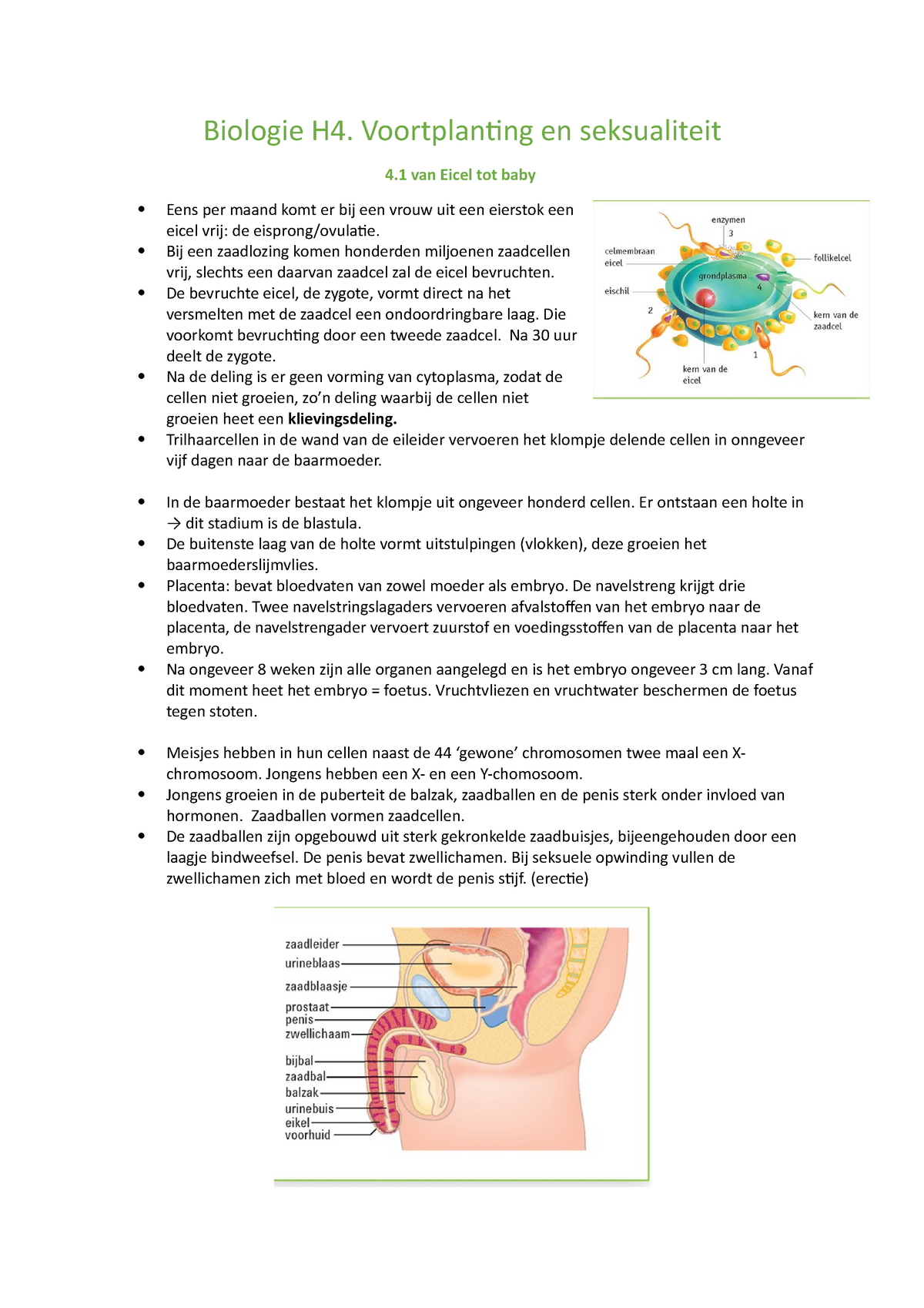 Biologie H4 Voortplanting En Seksualiteit Biologie H4 Voortplanting En Seksualiteit 4 Van 1290