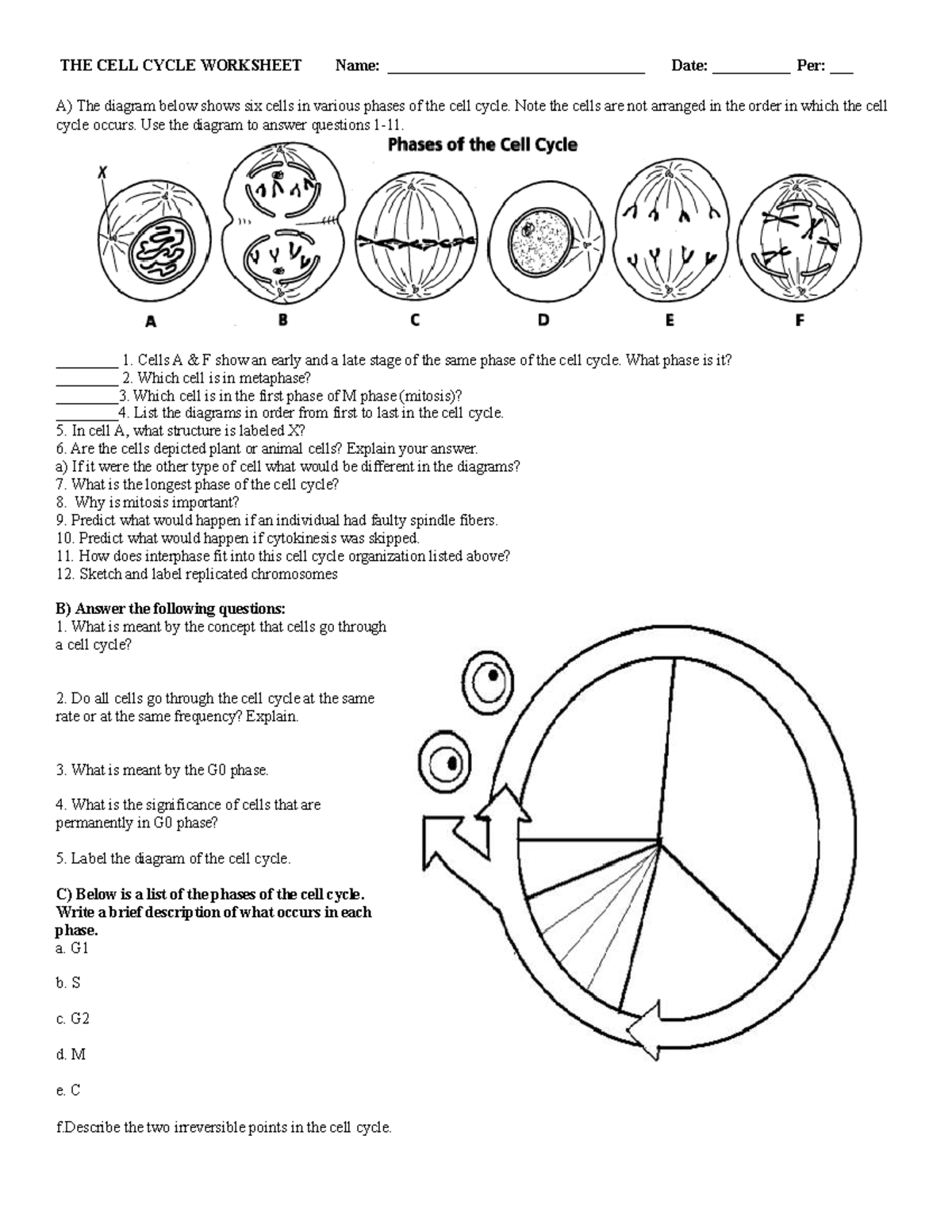 288285963 The Cell Cycle Worksheet THE CELL CYCLE WORKSHEETTHE CELL