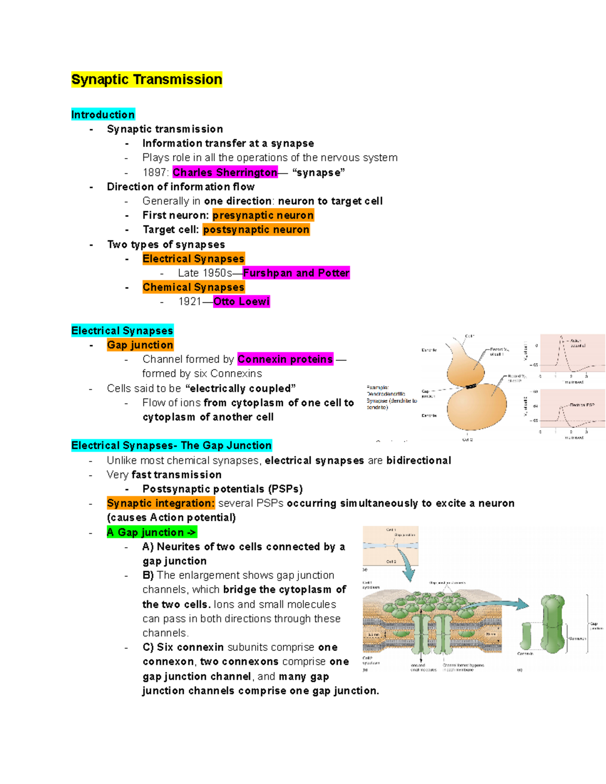 CBNS 106 Lec. 5 (Synaptic Transmission) - Synaptic Transmission ...