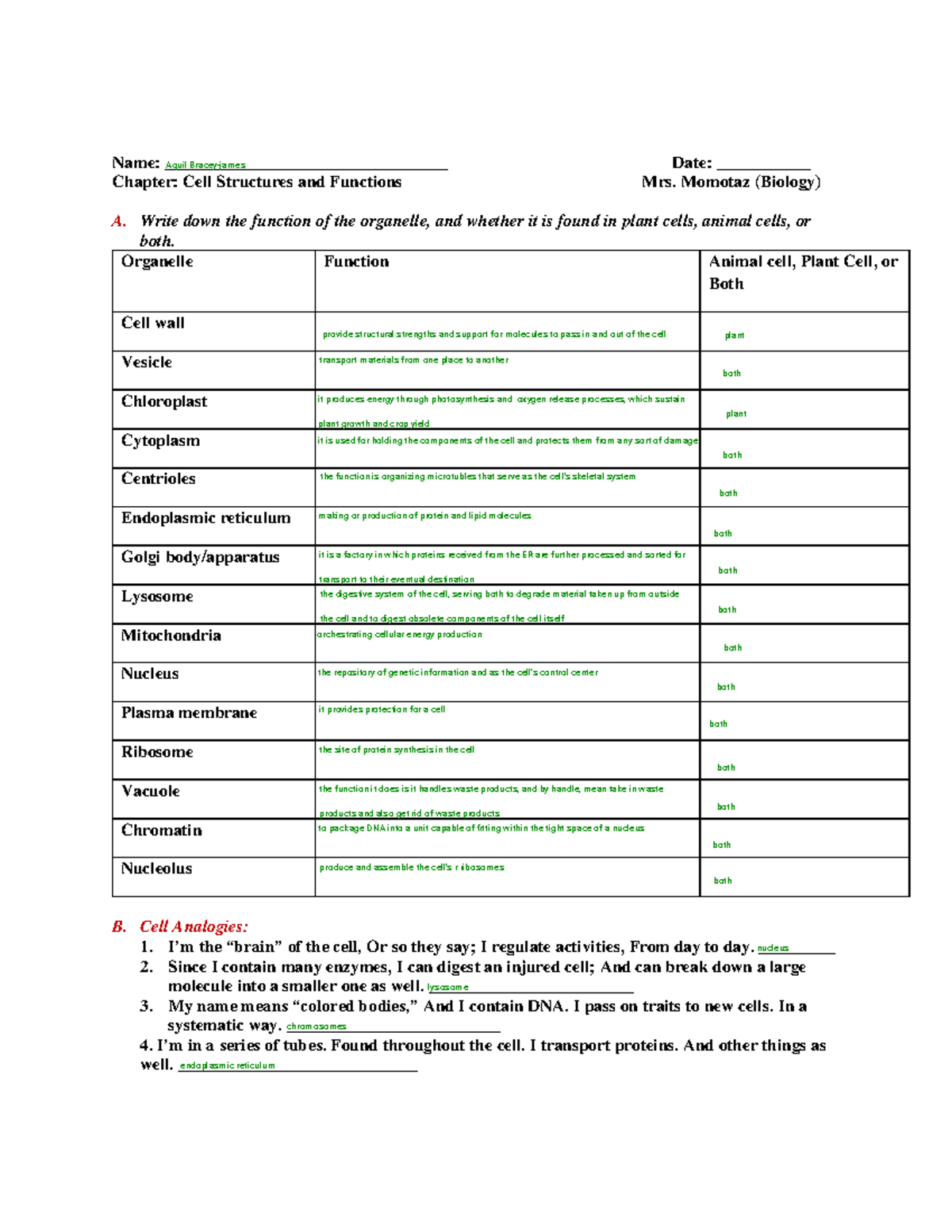 Kami Export - Aquil Bracey- James - TEST Review Guide BIO S - Name ...