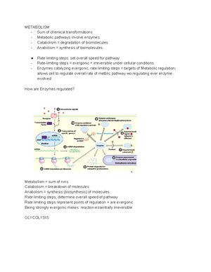 BIOC3560 Testbank 6th - Materials - 1 Choice Questions 1. Cellular ...