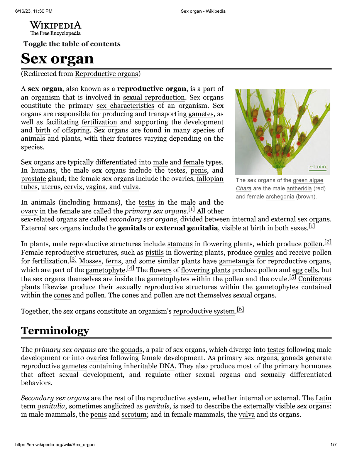 Sex organ - The sex organs of the green algae Chara are the male antheridia  (red) and female - Studocu