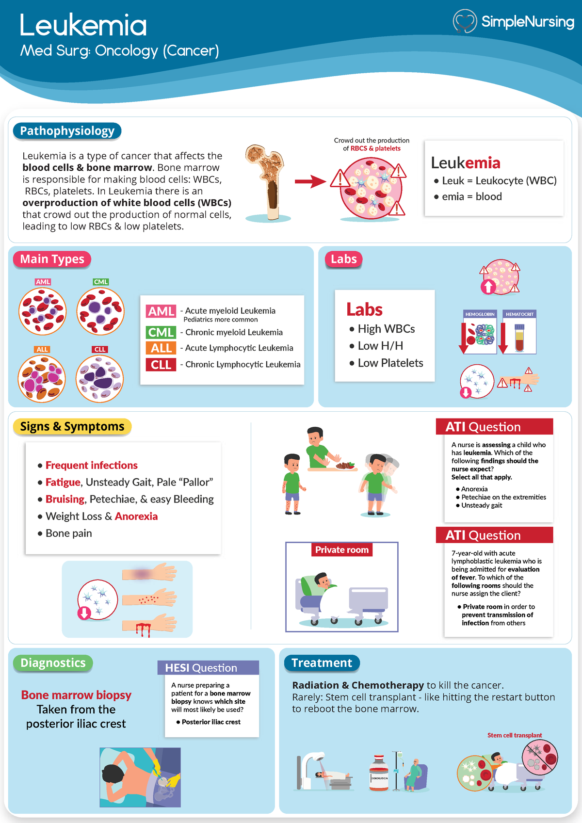 Oncology - Leukemia - ,m.m - Leukemia Signs & Symptoms Diagnostics Labs ...