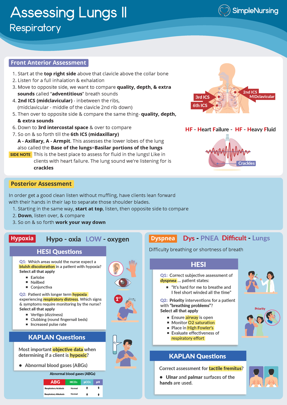 Anatomy of the Lungs - Assessing Lungs II Respiratory Front Anterior ...