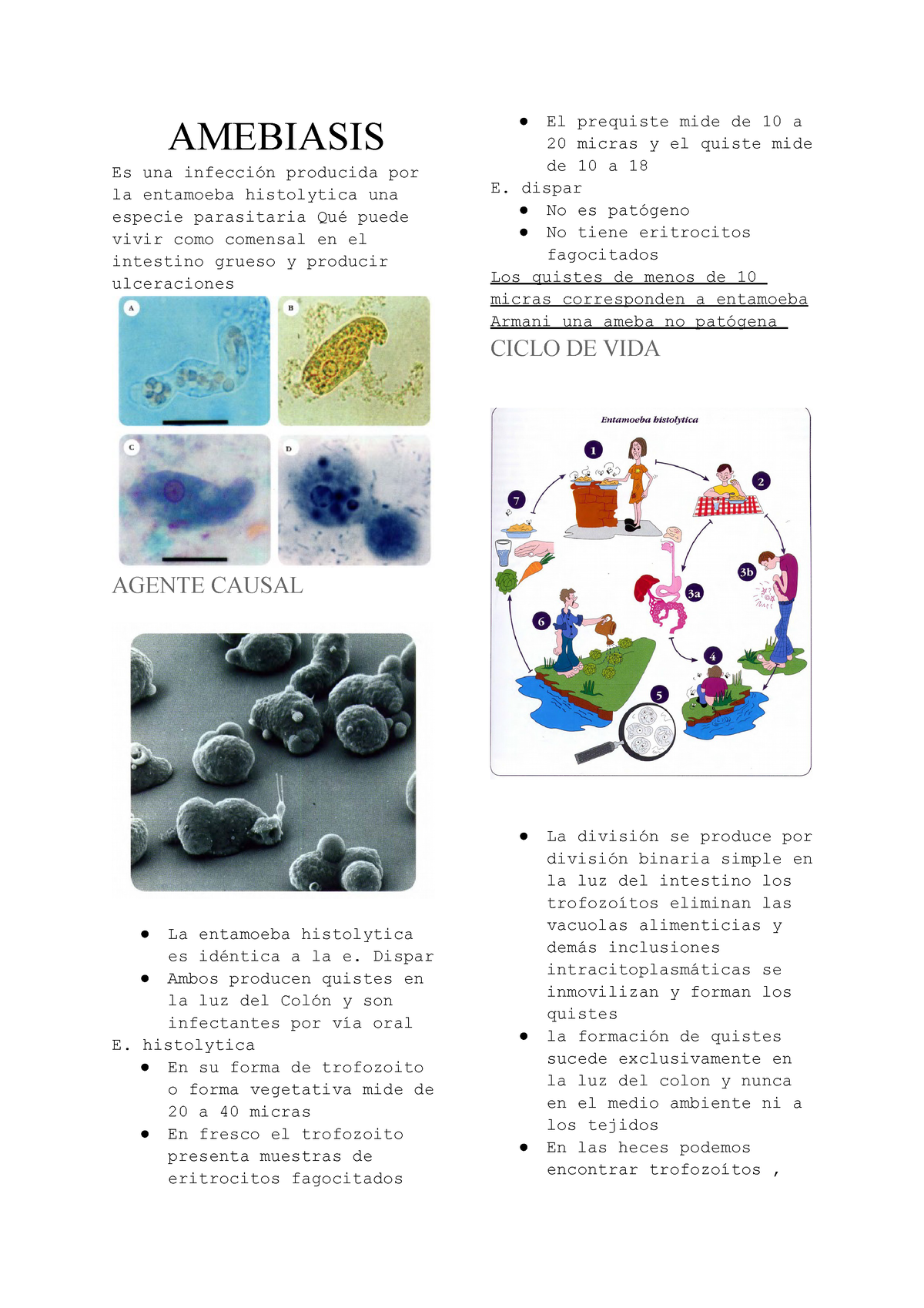 Resumen Botero Amebiasis Amebiasis Es Una Infecci N Producida Por La Entamoeba Histolytica