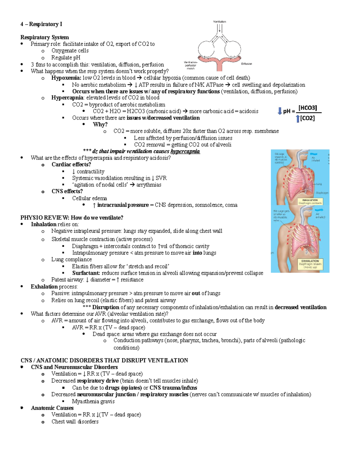 4 - Respiratory Patho I - 4 – Respiratory I Respiratory System Primary ...