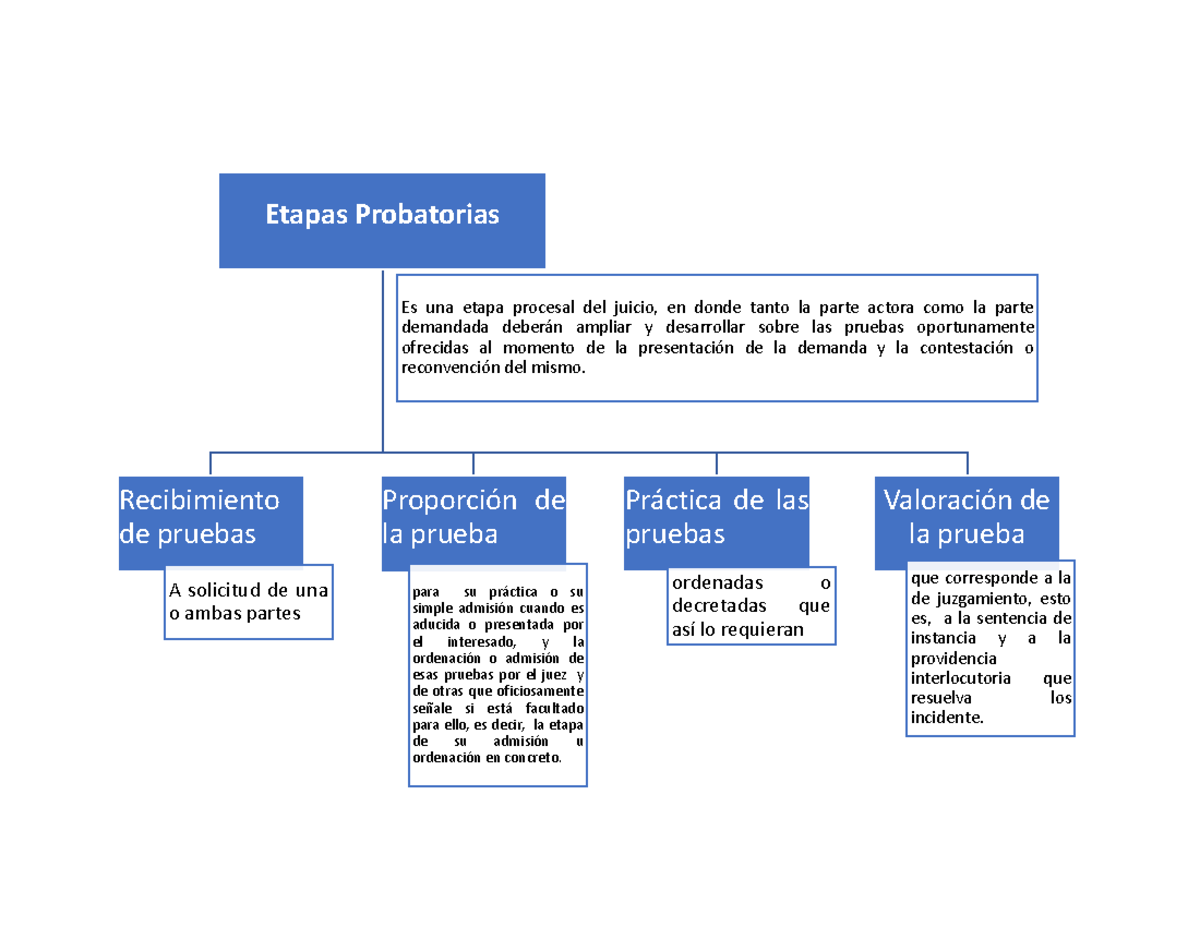 Etapas Probatorias - Mapa - Etapas Probatorias Es Una Etapa Procesal ...