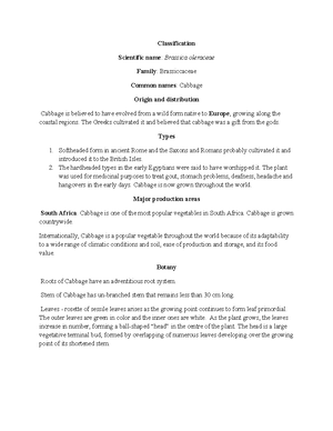BULB Vegetables - Horticultural crops notes - BULB VEGETABLES They are ...