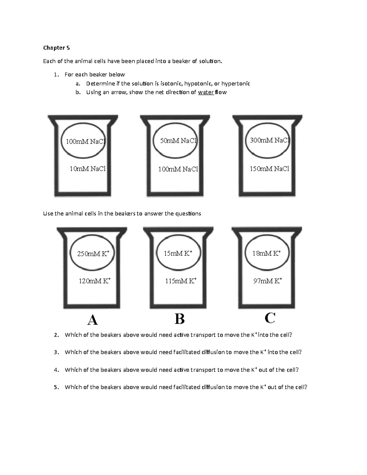 Chapter 5 Worksheet - Chapter 5 Each of the animal cells have been ...