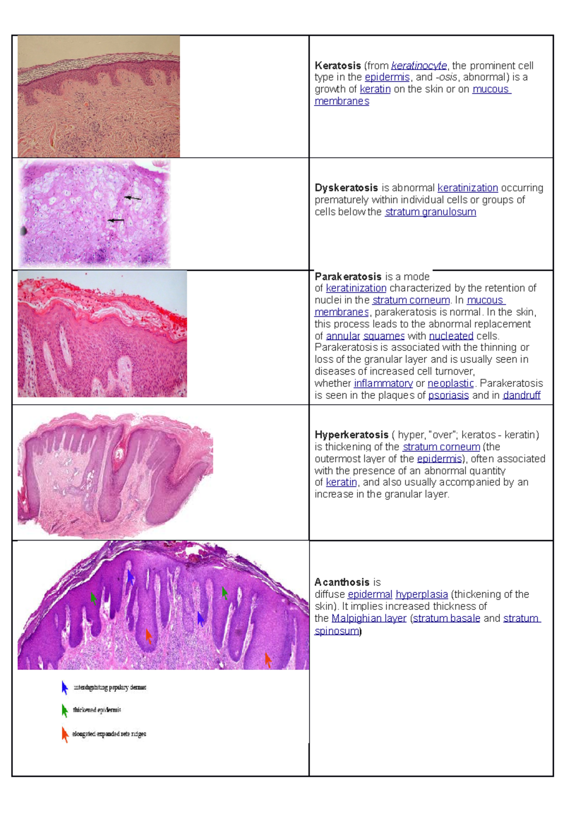 Keratinization - These are the important information needed to ...