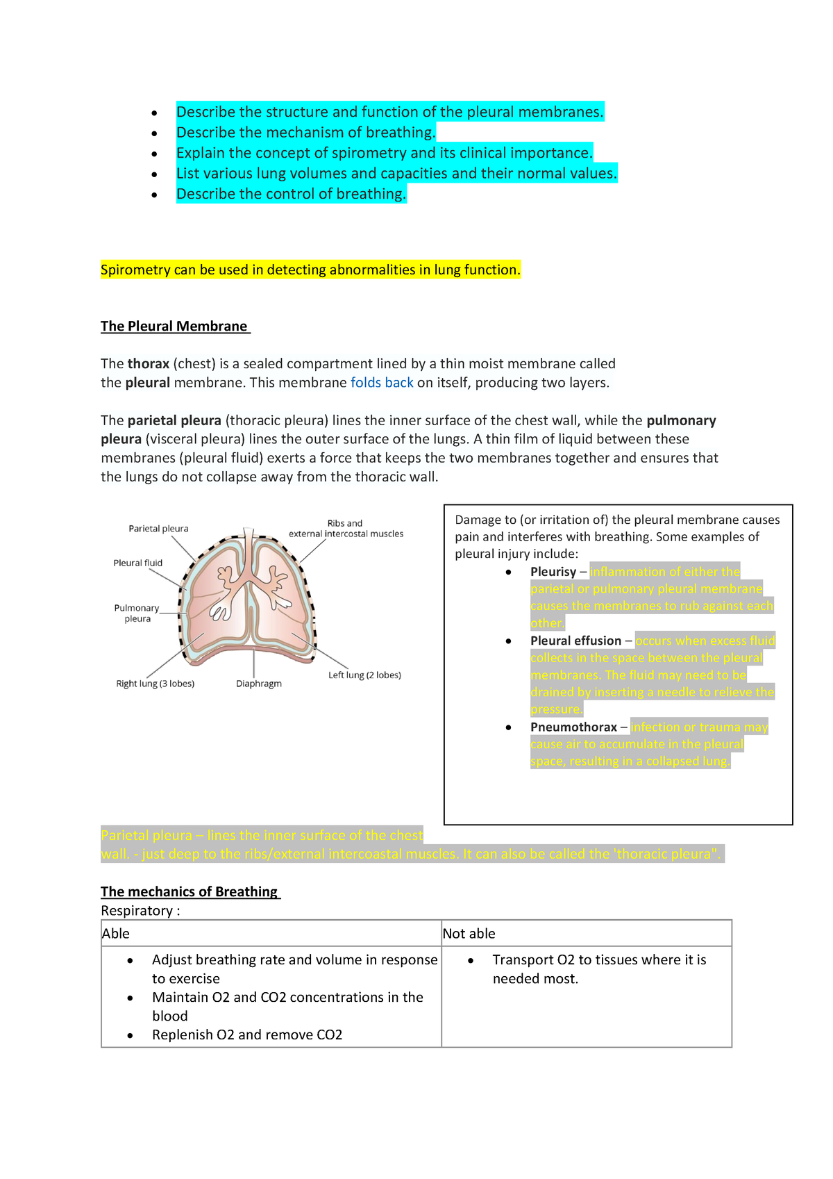 Breathing and Spirometry - • Describe the structure and function of the ...