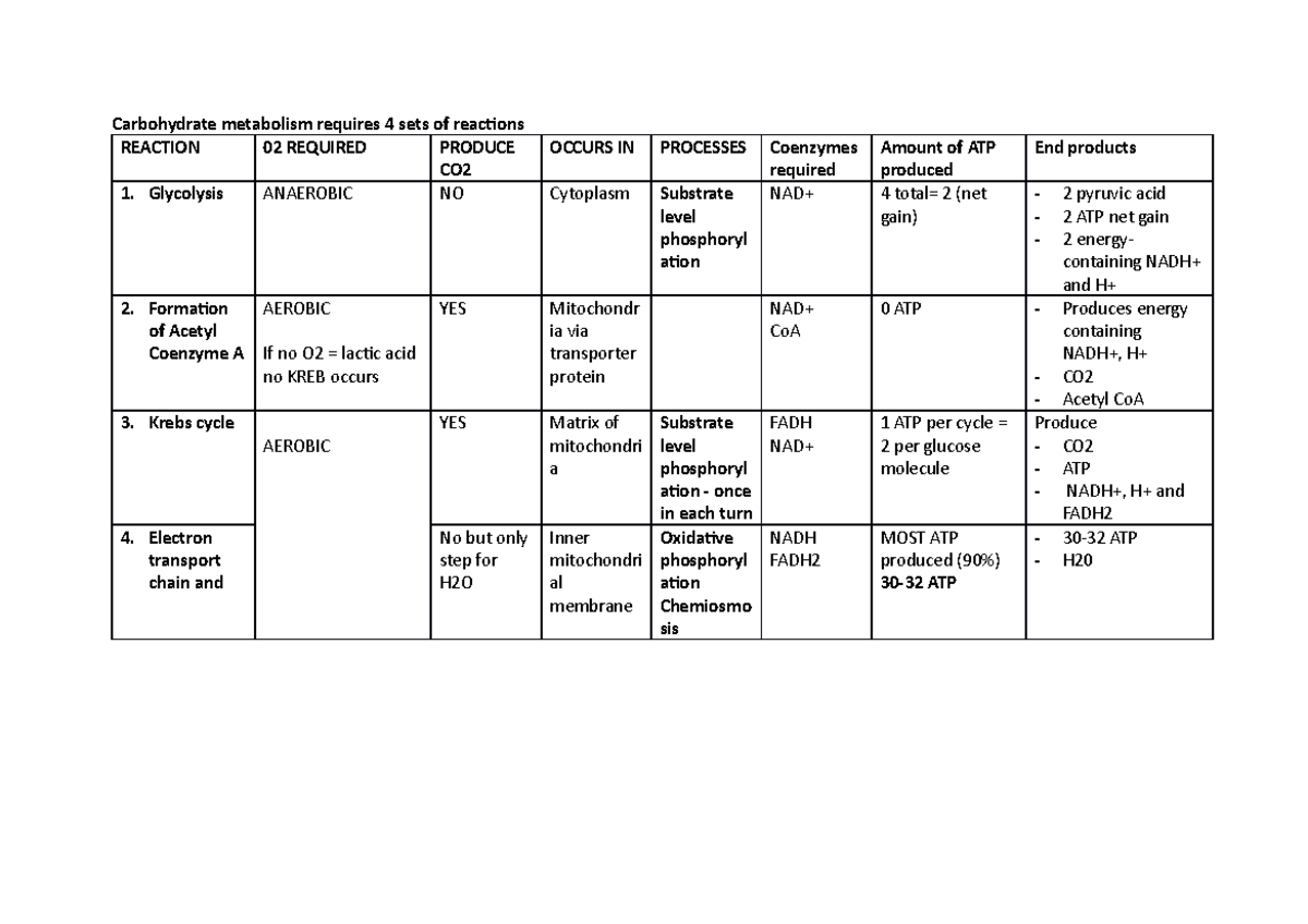 Summary carb metabolism table - Carbohydrate metabolism requires 4 sets ...