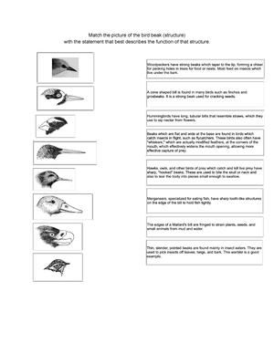 Components of Prokaryotic and Eukaryotic Cells - BIOL 101 - Studocu