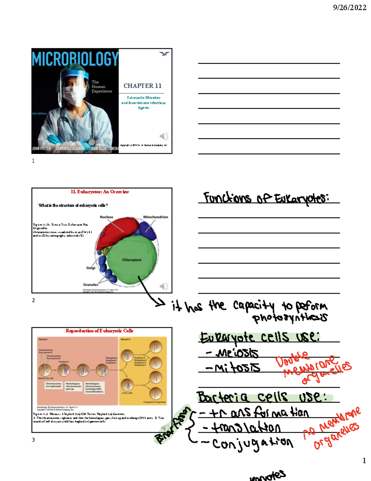 Chapter 17 Medical Micro Biology, notes to lead you to success! Notes