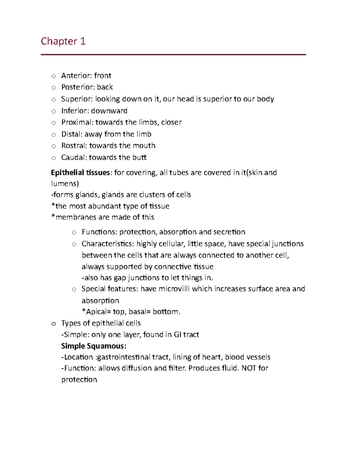 Exam 1 Study Guide Human Anatomy Spring - Chapter 1 O Anterior: Front O ...